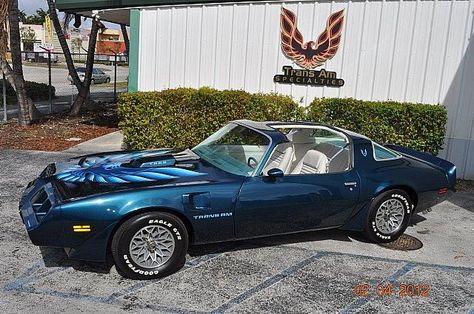 Rare 1979 Pontiac Firebird Trans Am Nocturne Blue with original oyster and powder blue interior. Powder Blue Interior, 1979 Trans Am, Bandit Trans Am, Firebird Car, 1979 Pontiac Firebird, 1979 Pontiac Trans Am, Trans Am For Sale, Pontiac Trans Am, Smokey And The Bandit