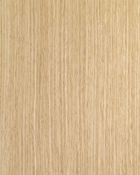 white oak wood - Google Search Bodo, Wood Panel Texture, Oak Wood Texture, Veneer Texture, Primary Bath, White Oak Wood, Sonoma Oak, Wood Ceilings, White Paneling