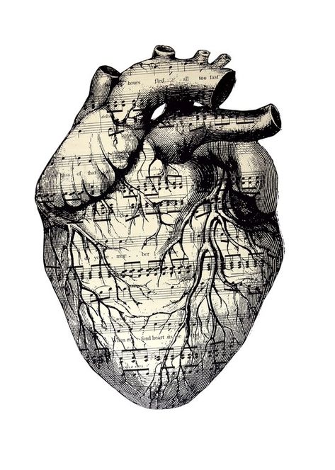 Musical Heart... Art And Illustration, Music Heart, Herz Tattoo, Heart Anatomy, Art Tumblr, Wow Art, Heart Art, Pics Art, Art Plastique