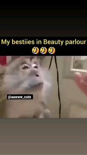 Funny Jokes About Friends, Humour, Jokes For Friends Funny, Best Frnd Wallpapers, Tag Your Best Friend Funny Video, Funny Videos Of Best Friends, Funny Video For Best Friend, Funny Jokes For Best Friends, Funny Videos For Best Friend