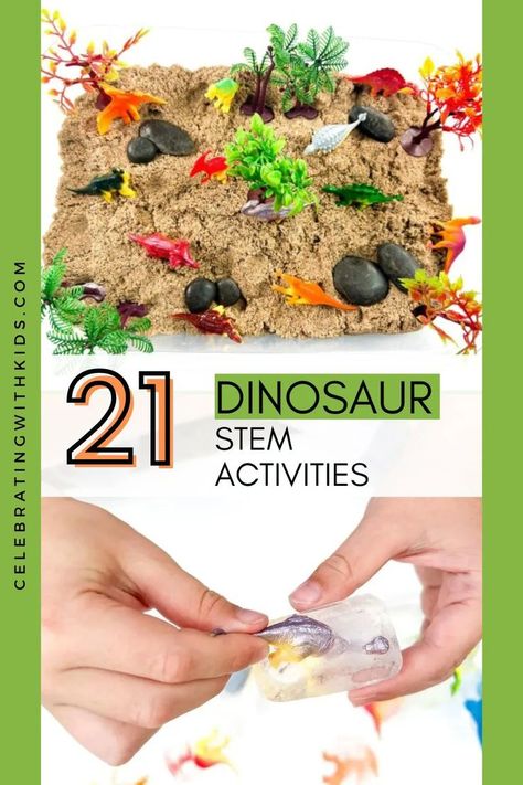 Looking for fun dinosaur learning activities? These dinosaur STEM activities are perfect for your little ones who love dinosaurs! From fizzy dino eggs to learning how dinosaurs digest their food, this list has something for all ages. Dino Day Activities, Dinosaur Science Activities, Dinosaur Stem Activities, Dinosaur Learning Activities, Dinosaur Activities For Toddlers, Dinosaur Stem, Dinosaur Activities For Kids, Kids Summer Schedule, Dinosaur Week