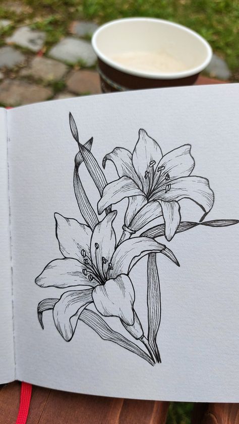 Pen Notebook Drawing, Flower Detailed Drawing, How To Draw Vintage Flowers, Botanical Pen Art, Ink Pen Flowers, Ink Flower Illustration, Plants Drawing Sketch, Flower Drawing Pencil Sketches, Fine Liner Sketch Easy