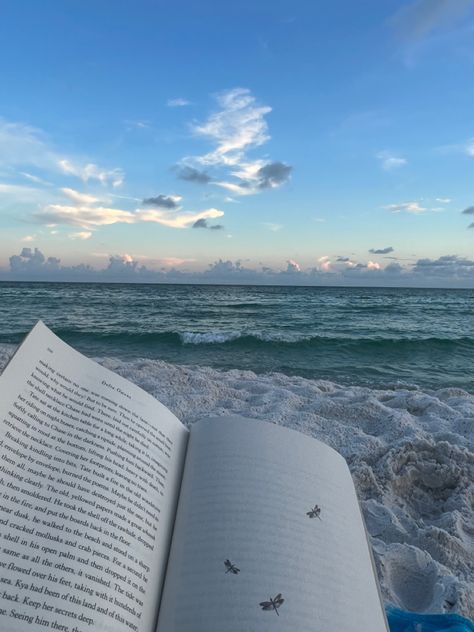 no netter way to end the week than finishing up a book on the beach :) #booklovers #bookrecommendation #bookclub #reading #beach #summerread #summerbook #romantic Reading, The Ocean, Where The Crawdads Sing, Blue