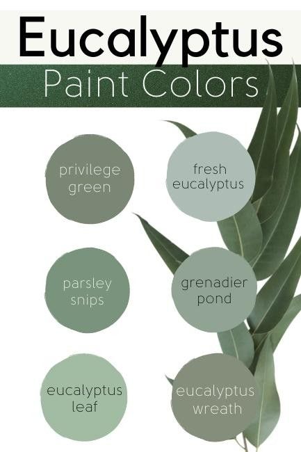 Benjamin Moore Grenadier Pond, Sherwin Williams Green, Colors For 2024, Sea Salt Sherwin Williams, Sage Green Paint, Green Living Room, Living Room Wall Decoration, Eucalyptus Green, Feuille Eucalyptus