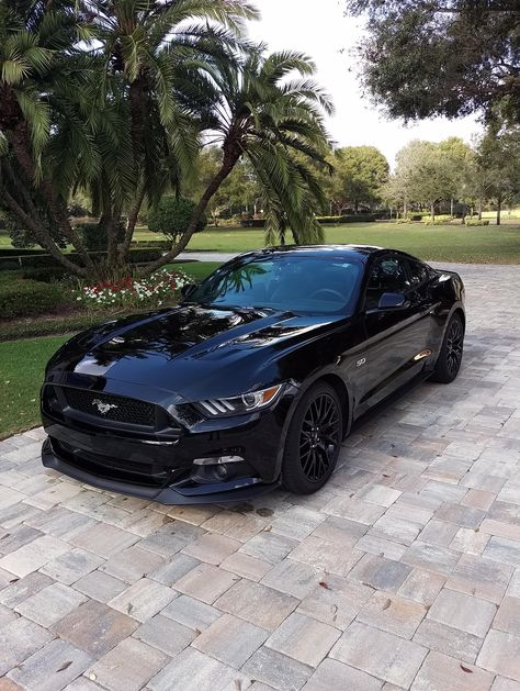 Siyah Mustang, Car Tattoo Design, Sports Cars Mustang, Mobil Mustang, Car Tattoo, Aventador Lamborghini, Car Quotes, Luxury Sports Cars, Ford Mustang Car