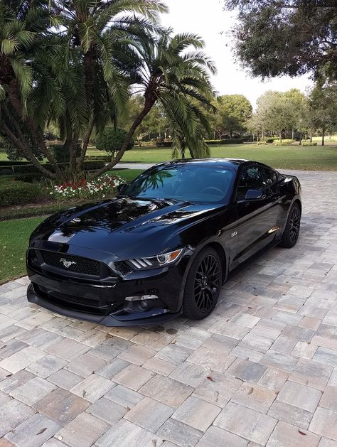 Siyah Mustang, Sports Cars Mustang, Mobil Mustang, Black Mustang, Aventador Lamborghini, Car Tattoo, Luxury Sports Cars, Ford Mustang Car, Car Organization