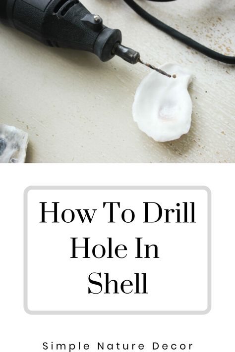 How To Drill Holes In Shells Dremel Tool, How To Drill A Hole In Sea Shells, Oyster Shell Earrings Diy, How To Drill Holes In Oyster Shells, How To Drill Hole In Oyster Shell, How To Drill A Hole In An Oyster Shell, Drilling Holes In Shells, Oyster Shell Wine Stopper Diy, Mussell Shell Crafts