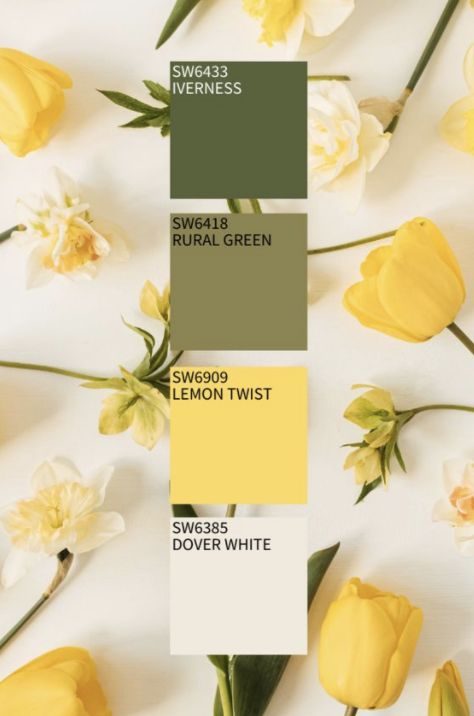 Each season brings different color palettes, and #Spring2021 is in full effect! As much as we enjoy this year’s pastels and trendy jewel tones, we’re curious… Which one has your favorite shade range: spring, summer, autumn or winter? Drop a comment below & may the most wonderful time of year win! . . . . #commercialinteriors #hospitalitydesign #residentialdesign #home #homedecor #homedesign #homegoals #homeinspo #homeinspiration #homeideas #homestyle #instahome #dreamhome #howyouhome Beige And Yellow Color Palette, Yellow And Olive Green Wedding, Yellow Ocher Color Palette, Color Pallet With Yellow, Mellow Colors Colour Palettes, Pastel Yellow Color Scheme, Canary Yellow Color Palette, Yellow And Cream Color Palette, Colors That Go With White