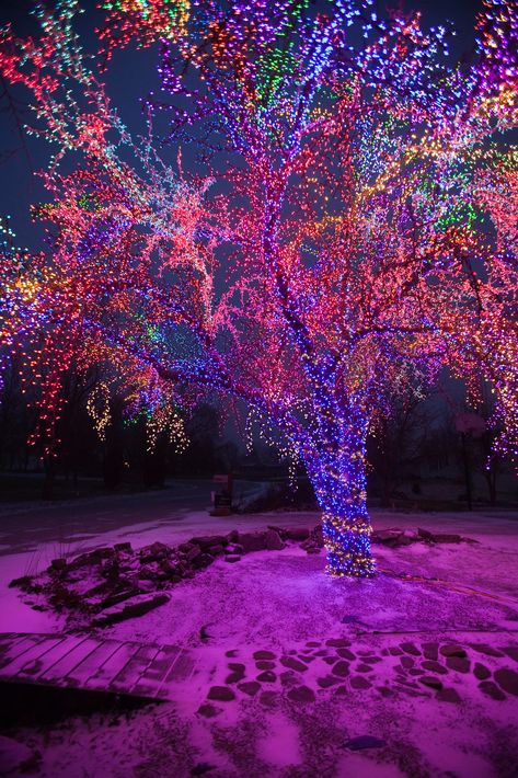 The "Magic Tree" on Christmas Morning | The "Magic Tree" on … | Flickr Natal, Christmas Lockscreen, Christmas Lights Wallpaper, Christmas Dreaming, Christmas Scenery, Magic Tree, Rainbows Christmas, Christmas Phone Wallpaper, Unique Christmas Trees