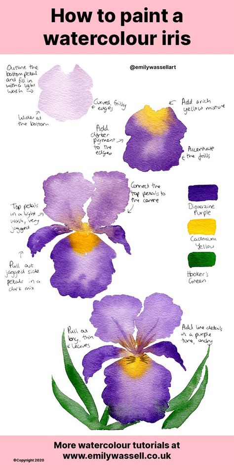 Watercolour Iris, Hur Man Ritar Blommor, Watercolor Iris, Watercolour Tutorial, Painting Ideas Easy, Learn Watercolor Painting, Iris Painting, Hur Man Målar, Watercolor Beginner