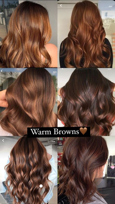 Autumn Season Hair Color, Brown Hair With Copper Undertones, Chesnutt Hair Color, Mel Virgin River Hair, Auburn Chocolate Brown Hair, Copper Tones In Brown Hair, Haircolor Ideas For 2024, Brown Hair Warm Tones, Different Types Of Brown Hair Shades