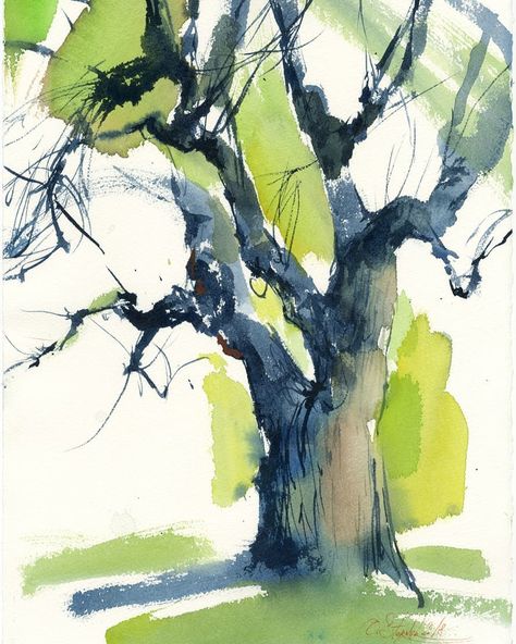 This old tree I painted in an area of St. Sophia of Kyiv#Watercolor , #paper #Arches 180 g/m38 x 28 cm2018#pleinair #archespaper #watercolortree #watercolor_sketch #watercolorsketch #watercolorpainting #painting #watercolorart #quickpainting #quicksketch #sternyk #olgasternyk #oldtree #tree #treepainting Oak Tree Drawings, Woods Painting, Oak Art, Tree Sketch, Family Tree Tattoo, Tree Watercolor Painting, Tree Watercolor, Tree Icon, Live Oak Trees