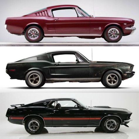 Mustang Fastback 1965, 1967 y 1969. 1969 Mustang Fastback, 68 Mustang Fastback, Quetzalcoatl Tattoo, Mustang Old, Ford Mustang 1965, 67 Mustang, 1967 Mustang, 1965 Mustang, Ford Mustang Coupe
