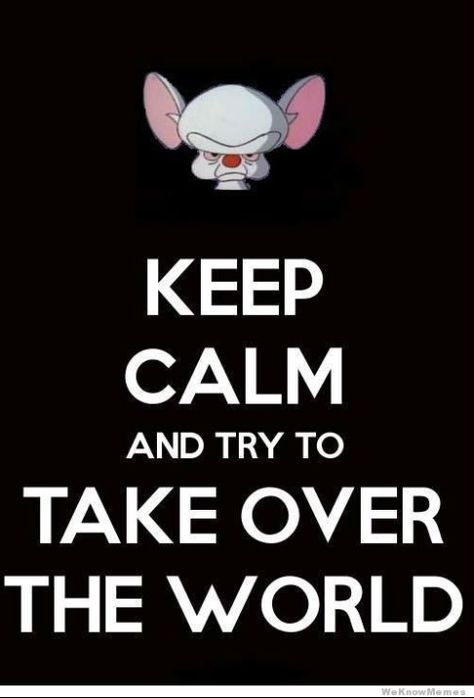 pinky and the brain Tumblr Funny, Keep Calm Quotes, Take Over The World, What Are We, Pictures Quotes, Taking Over The World, Tumblr Quotes, Nerd Alert, The Brain