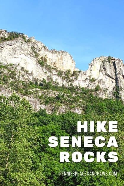 Hike Seneca Rocks | Pennies, Places, and Paws Nature, Seneca Rocks, Monongahela National Forest, Dog Friendly Vacation, East Coast Usa, Swimming Hole, Rock Climbers, American Travel, Swimming Holes