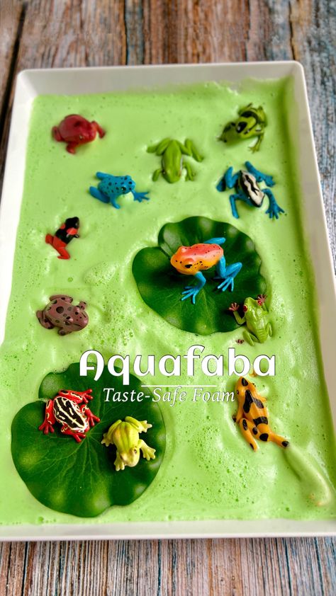 Taste-Safe Sensory Aquafaba Foam Frog-Pond Edible Foam, Chickpea Water, Play Foam, Standing Mixer, Frog Activities, Toddler Sensory Bins, Frog Pond, Sensory Crafts, Montessori Homeschool