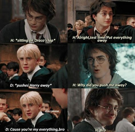 Darry Fanart Comic, Harry Potter Drarry Memes, Drarry Memes Funny, Harry Potter Comics Drarry, Drarry Incorrect Quotes, Drarry Cute, Darry Memes, Drarry Fan Art, Drarry Ship