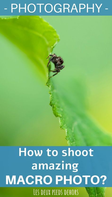 In this new article, I suggest you all my best tips to shoot macro photography. I give as well advices for camera settings, as for shooting, or the choice of the camera equipment. Photography Basics, Macro Photography Settings, Macro Photography Tips, Macro Photography Tutorial, Photo Macro, Low Light Photography, Photo Techniques, Photography Advice, Secret Photo