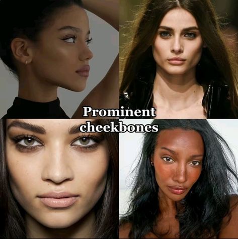 Types Of Cheekbones, High Vs Low Cheekbones, Hollow Cheeks Women, Cheekbones Aesthetic, High Cheekbones Women, High Cheekbones Aesthetic, Cheekbone Makeup, Wide Cheekbones, Model Cheekbones