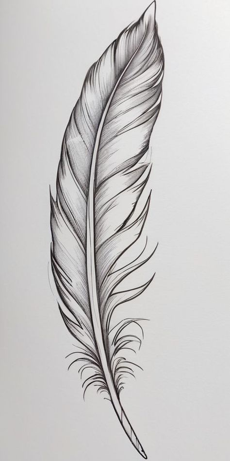 Drawing Feathers Sketches, Feather Tattoo Stencil Design, Feather Sketch Simple, Native American Feather Tattoos For Women, 2 Feathers Tattoo, Feather Tattoos Stencil, Feather Stencil Tattoo, Feather Drawing Simple, Feather Tattoo Stencil