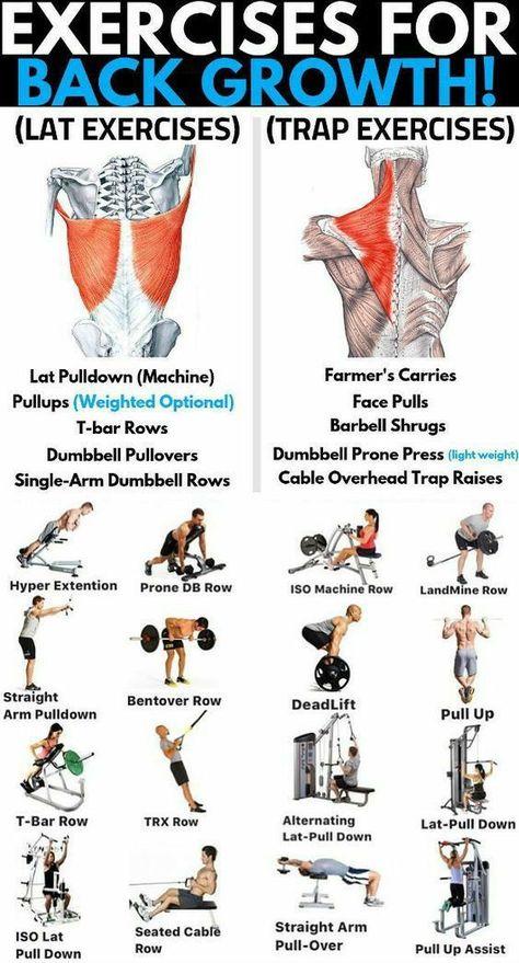 Some exercises for back growth Traps Workout At Home, Shoulder And Trap Workout, Lat Workout, Traps Muscle, Traps Workout, Men Exercises, Quad Exercises, Muscle Body, Big Muscles