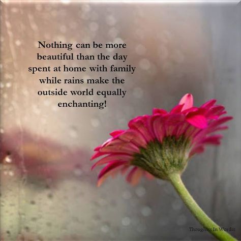 Monsoon Travel Quotes Quotes, Travel Quotes, Travel, Monsoon Quotes, Love Rain, Festival