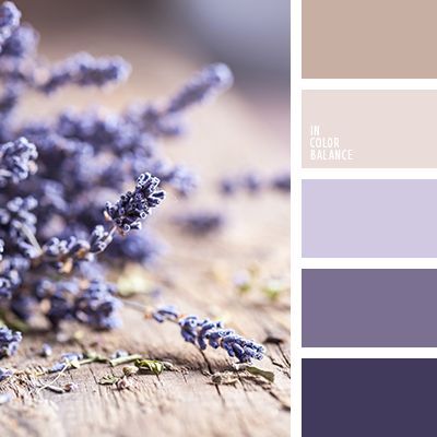 In Color Balance, Lavender Color Palette, Apartment Color Schemes, Purple Color Schemes, Wedding Colors Purple, Beige Bedroom, Color Schemes Colour Palettes, Kitchen Colour Schemes, Trendy Living Rooms