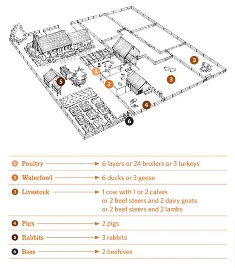 Layout of a half-acre homestead Pizza Farm Layout, 4 Acres Of Land Layout, 2acre Farm Layout, Three Acre Homestead Layout, 15 Acre Farm Layout, One Acre Farm Layout, 8 Acre Farm Layout, 50 Acre Farm Layout, Family Farm Layout