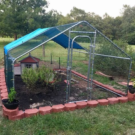 Holden Metal Walk-in Chicken Coop/Chicken Run with Waterproof Cover Chicken Coop Ideas, Walk In Chicken Coop, Duck Coop, Chicken Manure, Chicken Pen, Backyard Chicken Coop Plans, Diy Chicken Coop Plans, Coop Ideas, Backyard Chicken Farming