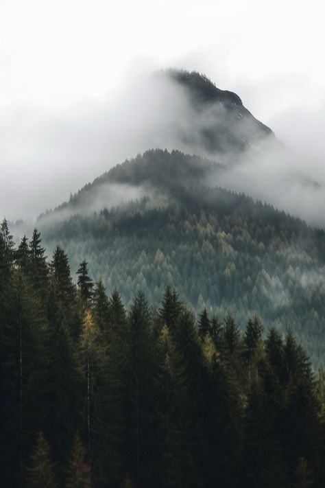 hight resolution ultra realistic detailed photo of a mountain top on a cloudy rainy day covered with dense coniferous forest, covered with light fog, through which the tops of the trees are visible. Alicante, Foggy Nature Wallpaper, Cloudy Mountain Aesthetic, Dark Dense Forest, Misty Mountains Aesthetic, Snowy Pine Forest, Misty Mountain Aesthetic, Dense Forest Aesthetic, Mountain Forest Aesthetic