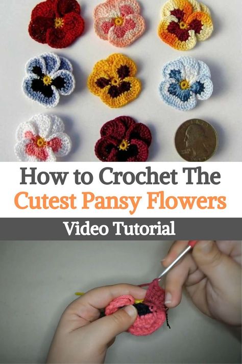 3 D Crochet Flower Patterns, Amigurumi Patterns, Crochet Pansy Pattern, Types Of Crochet Flowers, Pansy Crochet Pattern, How To Connect Crochet Flowers, Crochet Pansy Flower Free Pattern, Crochet Flowers With Stems, Crochet Irish Flower