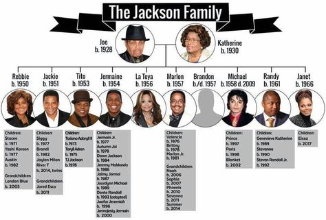 Los Angeles, Michael Jackson Family, Janet Jackson Son, The Jackson Family, Family Tree Photo, Muhammed Ali, Michael Jackson Art, Michael Jackson Smile, Joseph Jackson