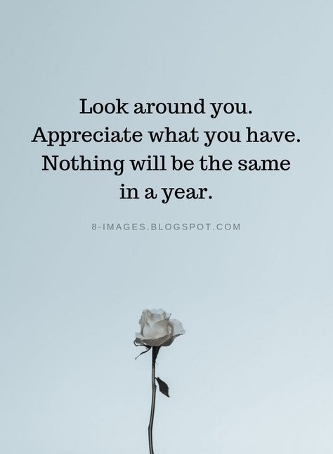 Gratitude Quotes Look around you. Appreciate what you have. Nothing will be the same in a year. Gratitude Quotes, Grateful Quotes, Appreciate Life Quotes, Thankful Quotes, Appreciate What You Have, Gratitude Affirmations, Appreciation Quotes, Fav Quotes, The Words