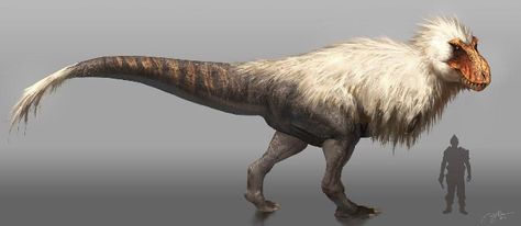 This was the real appearance of a Tyrannosaurus Rex according to some scientists - 9GAG Rj Palmer, Feathered Dinosaurs, Prehistoric Art, Paleo Art, Extinct Animals, Dinosaur Fossils, Jurassic Park World, Dinosaur Art, Prehistoric Creatures