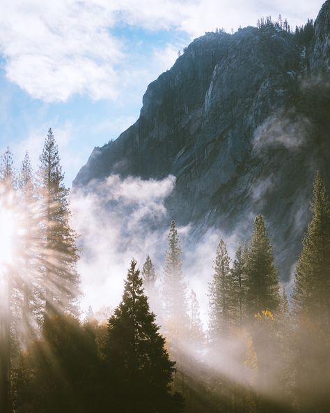 Nathaniel Wise on Behance Yoga Photography, Landscape Designs, Nature, Wilderness Aesthetic, Nature Photography Landscape, After Rain, Landscape Landscape, Light Rays, Yosemite Valley