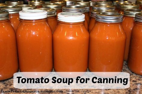 Tomato Soup For Canning, Soup For Canning, Canning Tomato Soup, Dry Soup Mix Recipes, Tomato Carrot Soup, Canning Soup Recipes, Farm Experience, Roast Tomato Soup Recipe, Tomato Bisque Soup