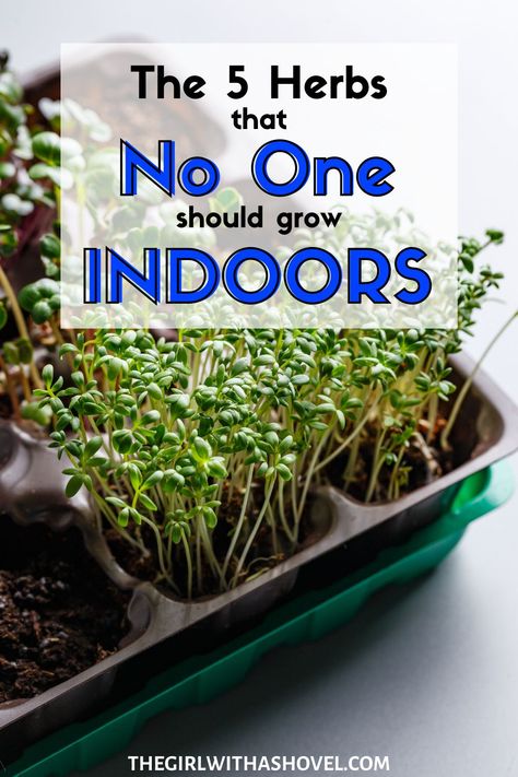 Portable Herb Garden, Indoor Herb Garden Wall Kitchens, Indoor Garden Planter Ideas, Herbs In The Kitchen Ideas, Pots For Herbs Indoors, Starting An Herb Garden Indoors, Indoor Herb Garden Shelf, Growing Medicinal Herbs Indoors, Growing Herbs Inside During Winter