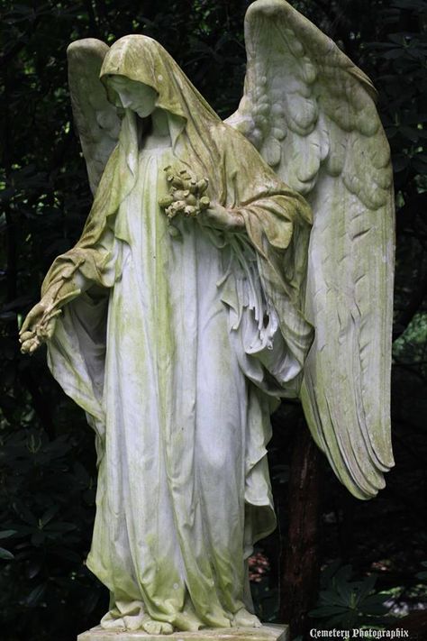 Cemetery Angels, Cemetery Statues, I Believe In Angels, Angel Sculpture, Ange Demon, Old Cemeteries, Cemetery Art, Angels Among Us, Angel Statues