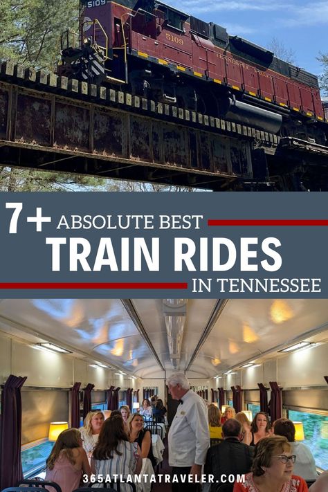 Amtrak Travel, San Antonio Zoo, Train Vacations, Southeast Region, Scenic Train Rides, Road Trip Places, Train Tour, Endless Opportunities, Hills And Valleys