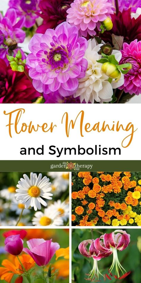 What's up with a Bouquet? Flower Meaning and Symbolism - Garden Therapy Therapy Tattoo, Tulips Meaning, Colour Meaning, Flower Shopping, Friendship Flowers, Flower Meaning, Flower Tattoo Meanings, Giving Flowers, Flower Colour