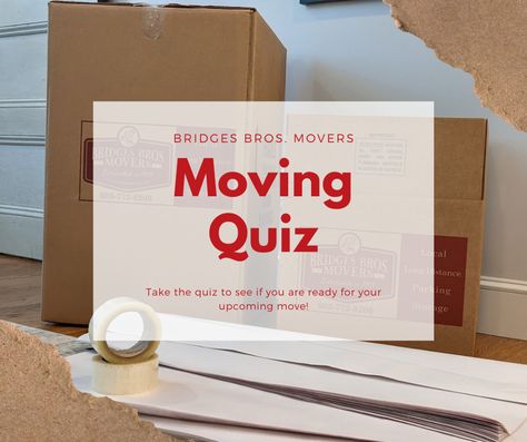 Take this simple quiz to see if you are ready for your upcoming move. This quiz can also help you understand some of the key steps when setting up a move. Feel free to take it at different points in your move to too your progress improve! Feelings, Free Move, Feel Confident, Place Card Holders, Feel Free, Key