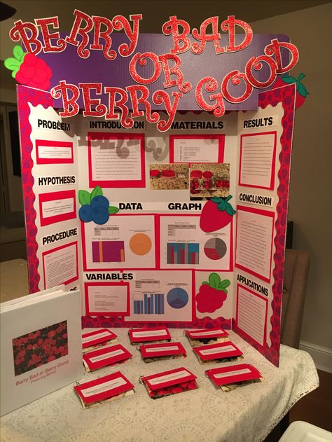 Science Fair 4th grade project Preserving Berries Project Ideas Creative School, Interactive Trifold Board Ideas, Tri Folder Board Ideas, Creative Poster Ideas Projects, Cute Poster Board Ideas For School Projects, Poster Board Layout Ideas, Science Fair Projects Highschool Biology, Science Fair Projects Boards High School, Science Poster Board Ideas