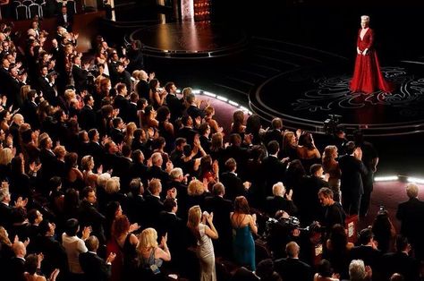 P!nk's standing ovation for her performance of "Somewhere Over the Rainbow" at the 2014 Oscars Wizard Of Oz, Alicia Moore, Dallas Buyers Club, Oscars 2014, Red Carpet Oscars, Standing Ovation, Academy Awards, Over The Rainbow, In Hollywood