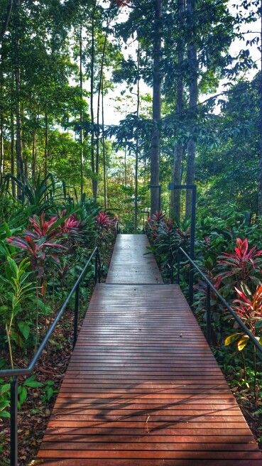 Sandakan Memorial Park Sandakan, Sandakan Sabah, Memorial Park, Garden Bridge, Outdoor Structures, Quick Saves