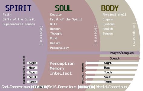 Image result for body soul and spirit Soul Vs Spirit, Spirit Body Soul, Body Spirit Soul, Soul Pictures, Ego Vs Soul, Mind Body Soul Spirit, Body Soul Spirit, Spiritual Stories, Gifts Of The Spirit