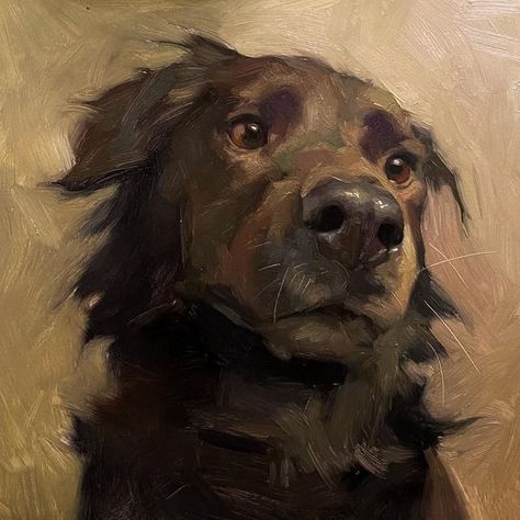 Jennifer Gennari, Pet Portrait Paintings, Dog Portraits Painting, Dog Portraits Art, Wildlife Artwork, Animal Portraits Art, Pet Portrait Painting, Canine Art, Art Painting Gallery