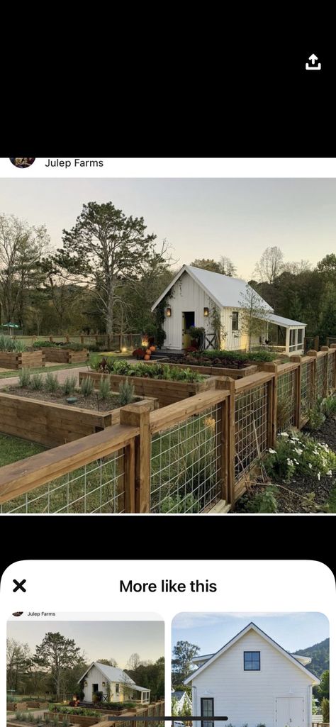 Chicken Coop And Raised Garden Beds, Garden With Chicken Coop And Greenhouse, Vegetable Garden And Chicken Coop, Chicken Coop Vegetable Garden, Chicken Coop Garden Shed Combo, Greenhouse With Raised Beds, Garden And Chicken Coop Layout, Enclosed Garden Ideas, Greenhouse Chicken Coop