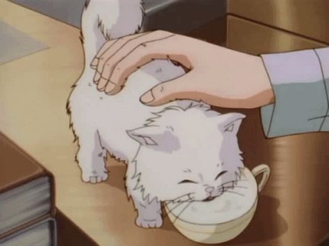 Pet Anime, Cute Anime Cat, Anime Gifs, Arte Inspo, Anime Animals, Anime Gifts, Old Anime, Anime Cat, Anime Princess