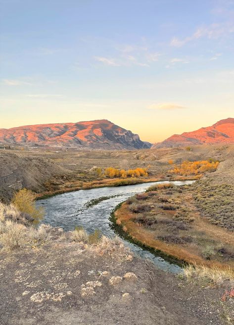 Yellowstone National Park, Wyoming, Bananas, Cody Wyoming, Adventure Is Out There, Mountains Hiking, Hiking Trail, Jackson Hole, Yellowstone National