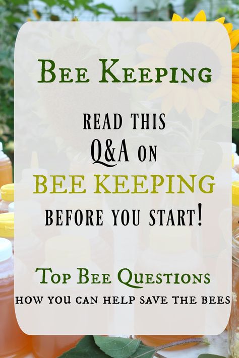 Honey Backyard, Honey Bees Keeping, Harvesting Honey, Top Questions, Keeping Bees, Bee Hive Plans, Backyard Bee, Beekeeping For Beginners, Nesting With Grace